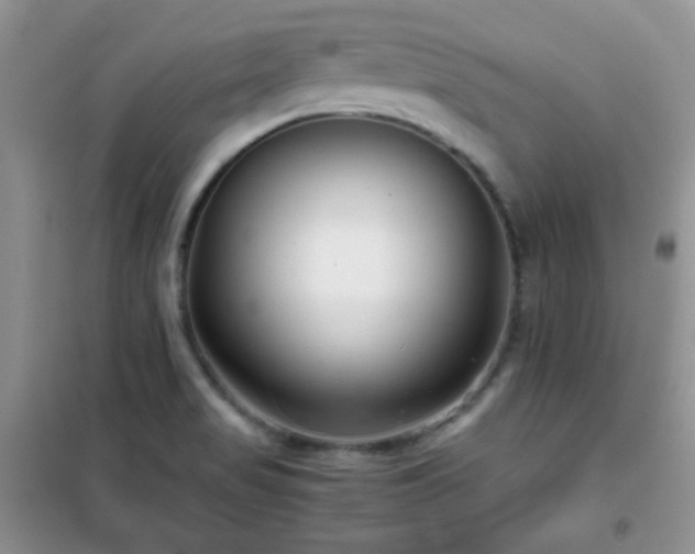 X0000102341517200808011128