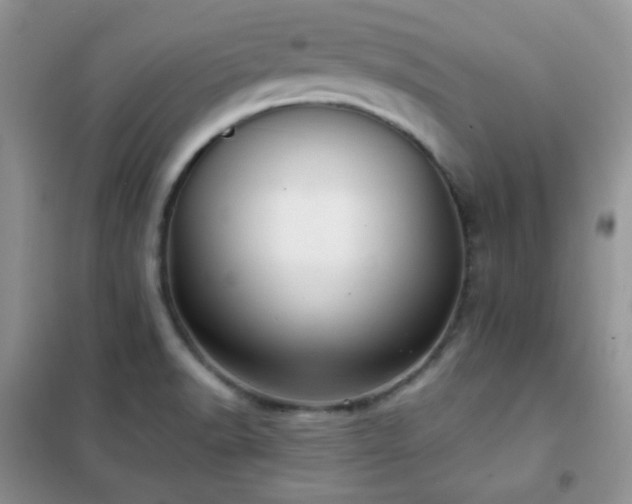 X0000102341518200808011128