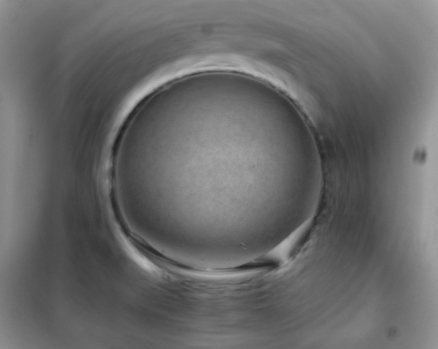 X0000102341519200808011128