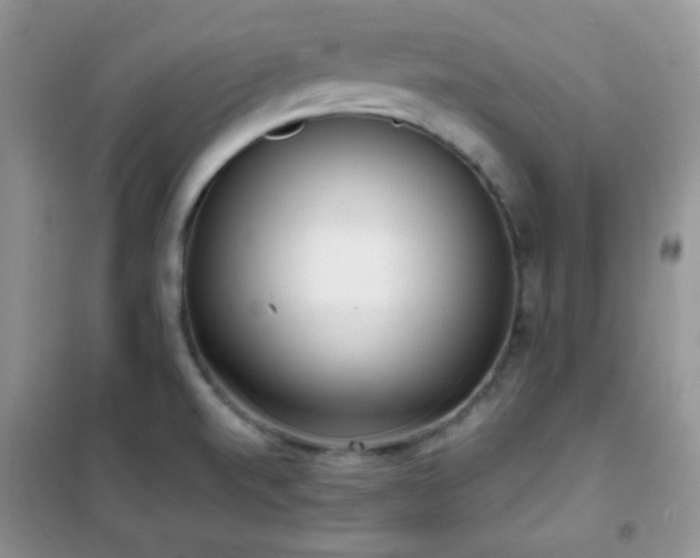 X0000102341520200808011128