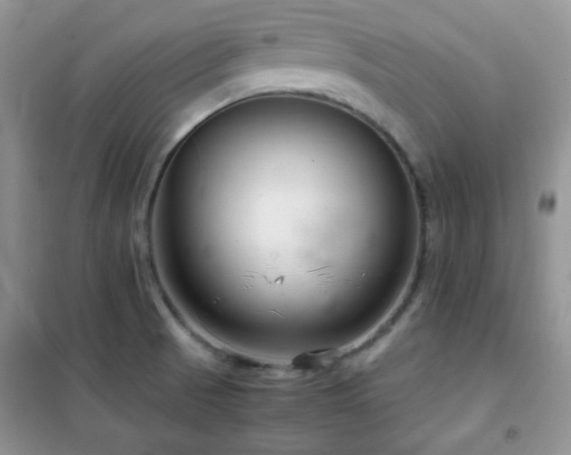 X0000102341521200808011128