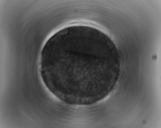 X0000102341522200808011128