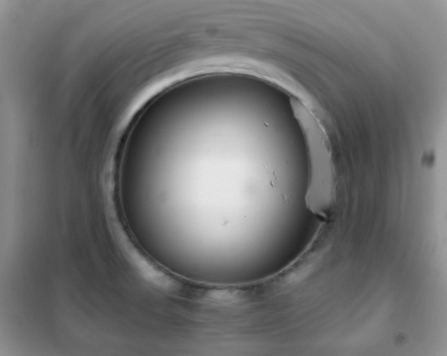 X0000102341523200808011128