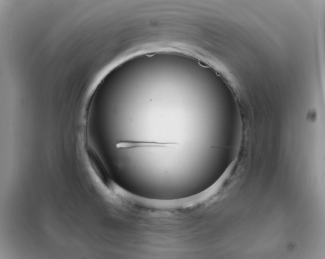 X0000102341524200808011128