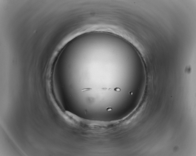 X0000102341525200808011128