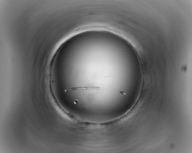 X0000102341526200808011128