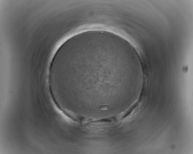 X0000102341527200808011128