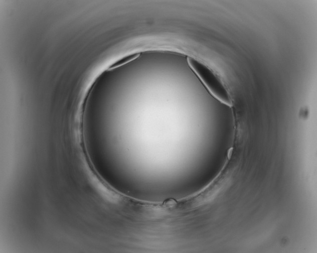 X0000102341528200808011128