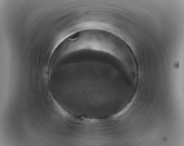 X0000102341529200808011128