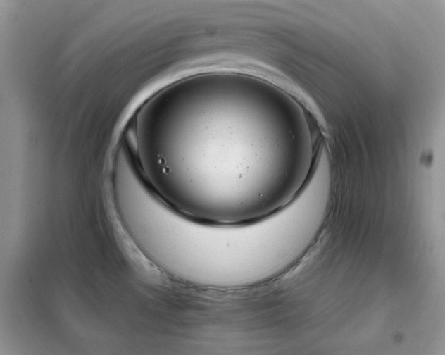 X0000102341530200808011128