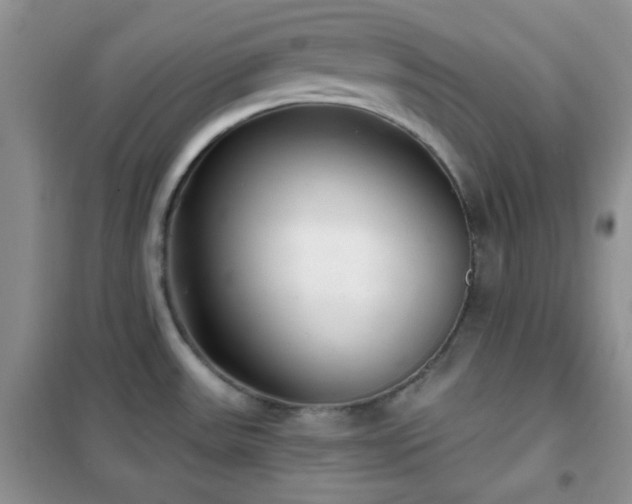 X0000102341531200808011128