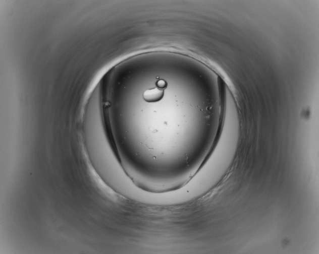 X0000102341532200808011128