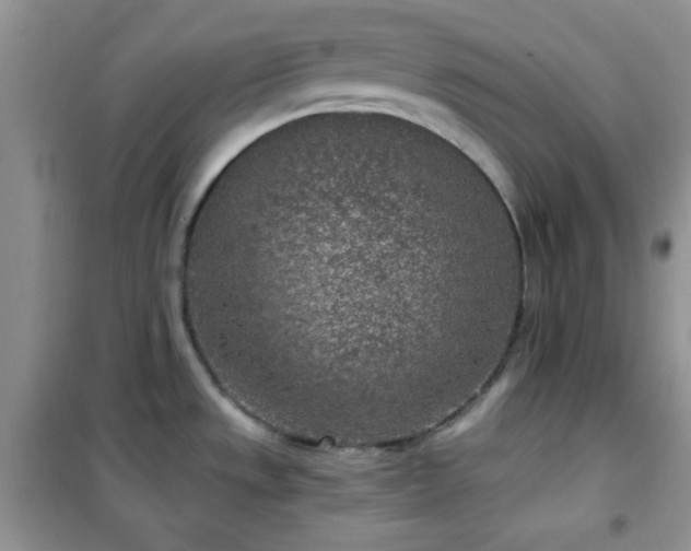 X0000102341533200808011128