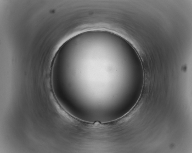 X0000102341534200808011128