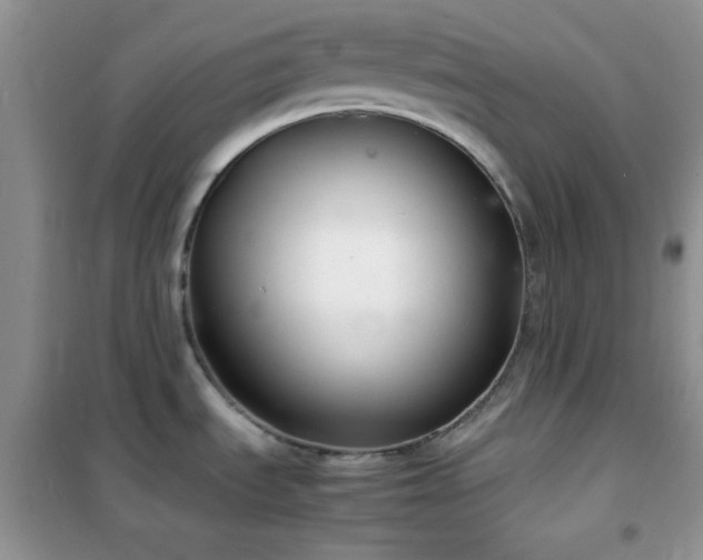 X0000102341535200808011128