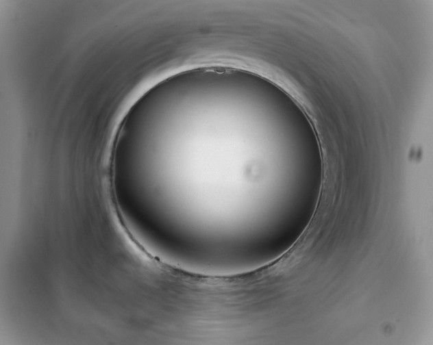 X0000102341536200808011128