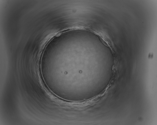 X0000102340001200808081142