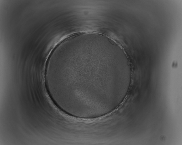 X0000102340002200808081142