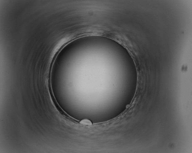 X0000102340003200808081142