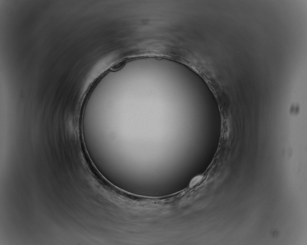 X0000102340004200808081142