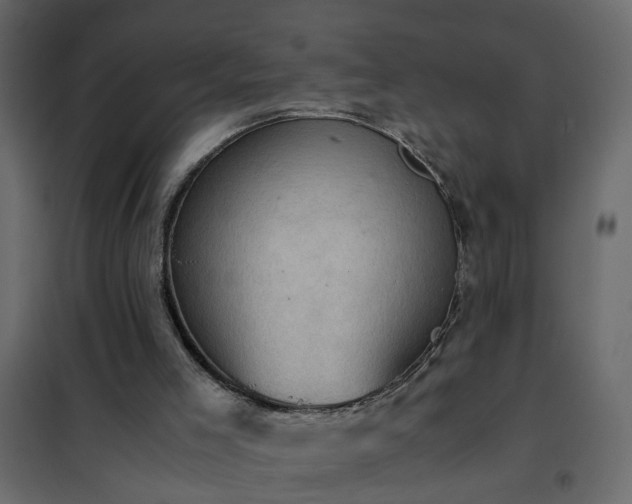 X0000102340005200808081142