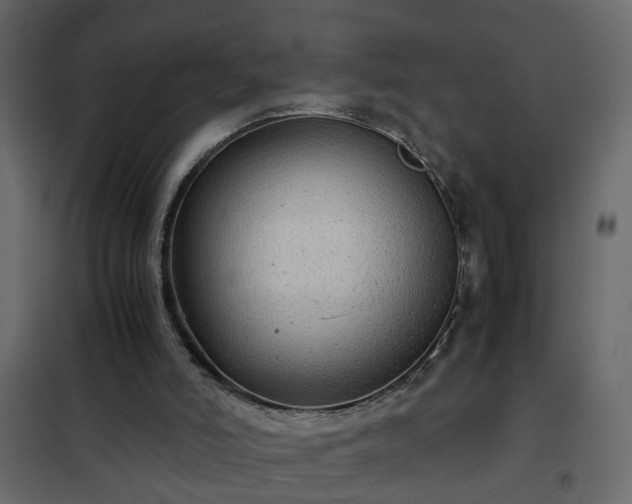 X0000102340006200808081142