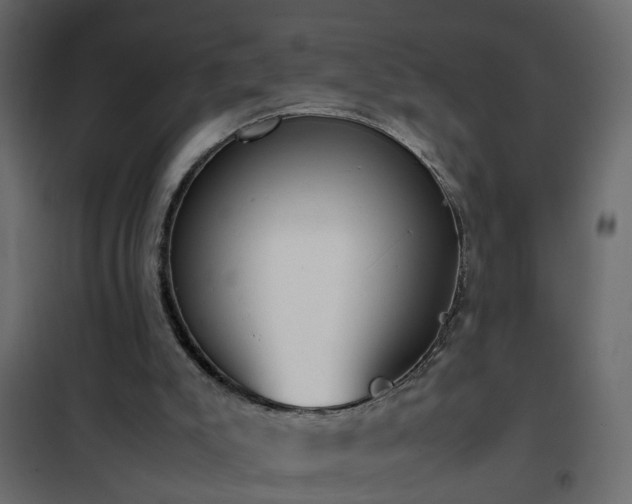 X0000102340007200808081142