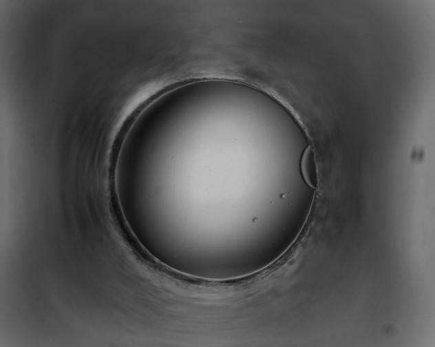 X0000102340008200808081142