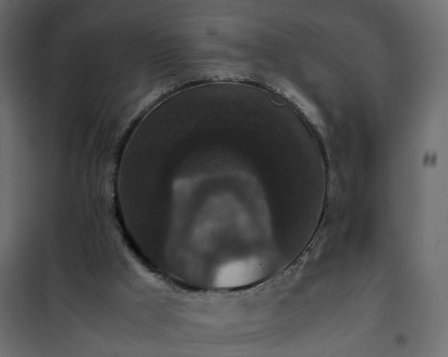 X0000102340009200808081142