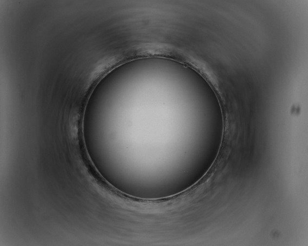 X0000102340010200808081142