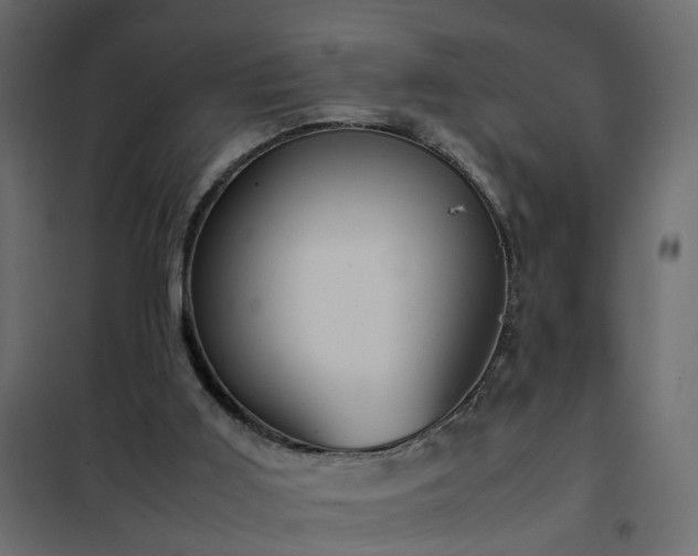 X0000102340011200808081142