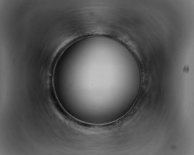 X0000102340012200808081142