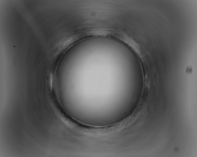 X0000102340013200808081142