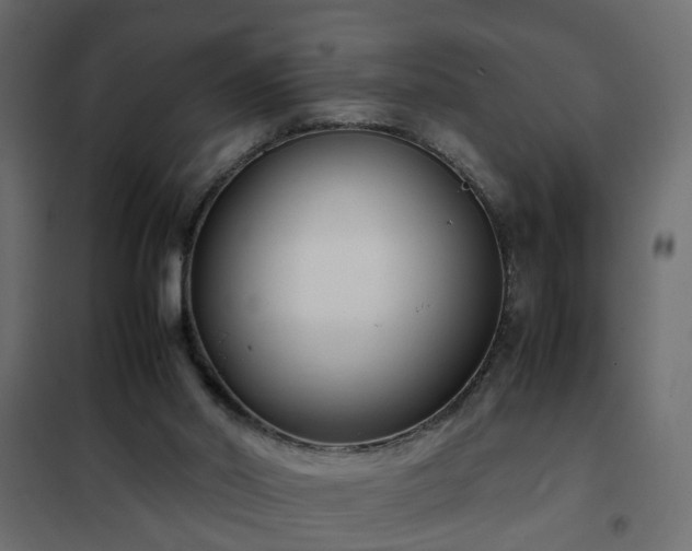 X0000102340014200808081142