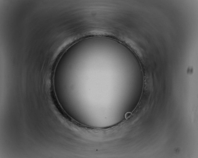 X0000102340015200808081142