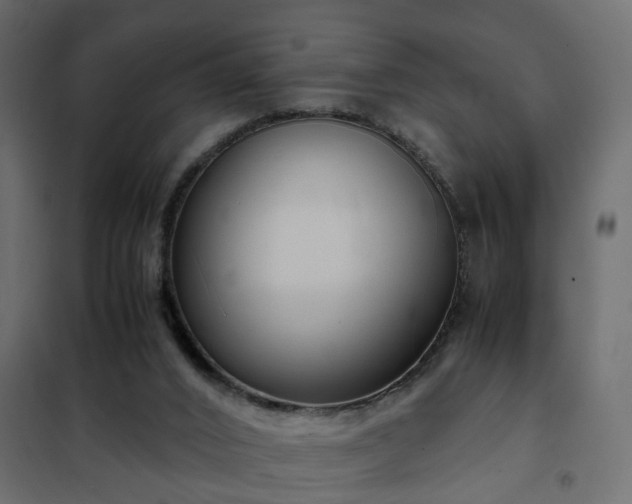 X0000102340016200808081142