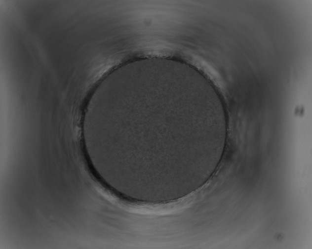 X0000102340017200808081142