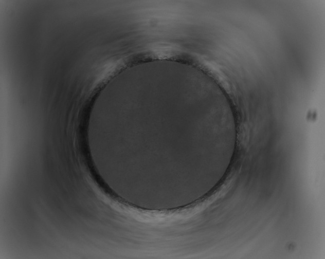 X0000102340018200808081142