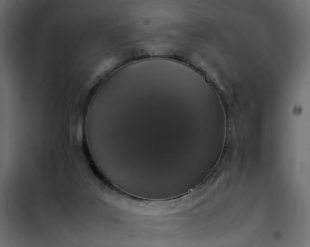 X0000102340019200808081142