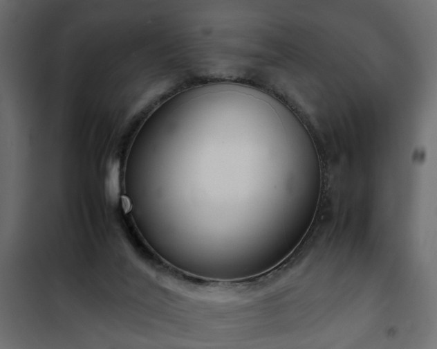 X0000102340020200808081142