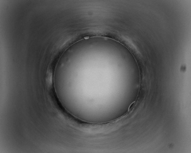 X0000102340021200808081142