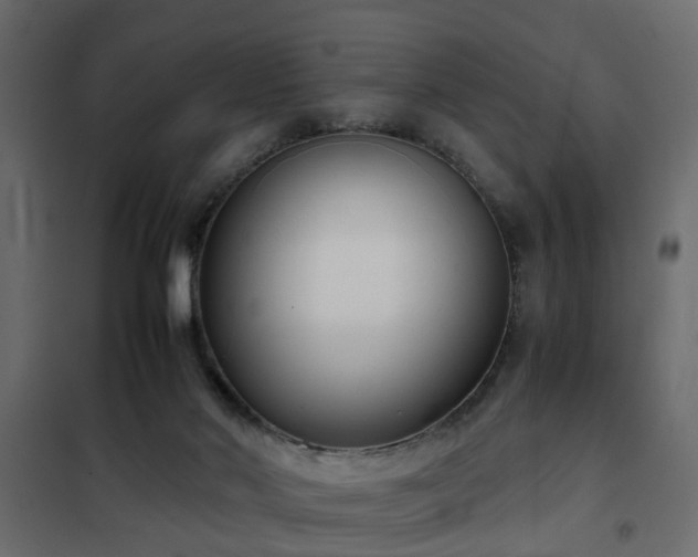 X0000102340022200808081142