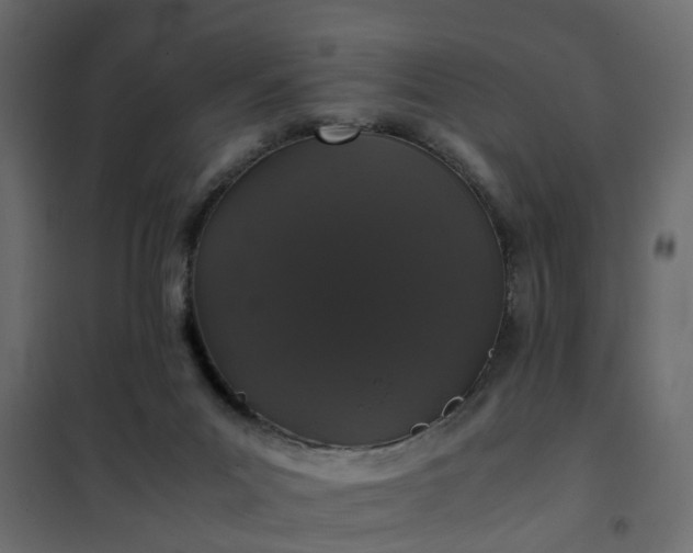 X0000102340023200808081142