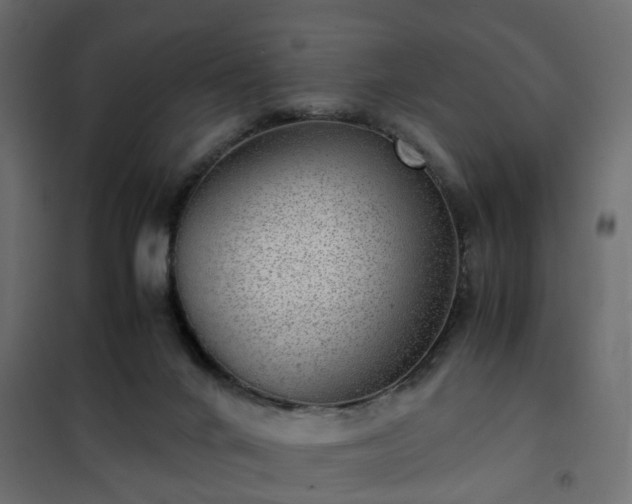 X0000102340024200808081142