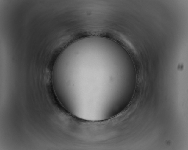 X0000102340025200808081142