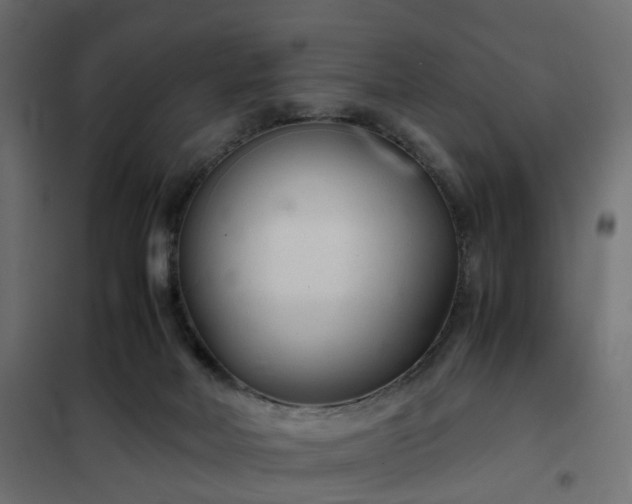 X0000102340026200808081142