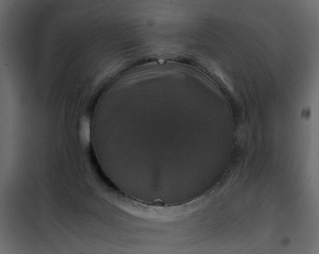 X0000102340027200808081142