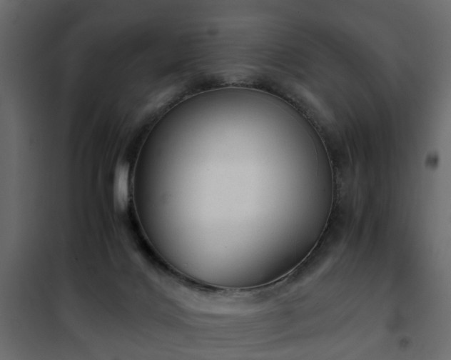 X0000102340028200808081142