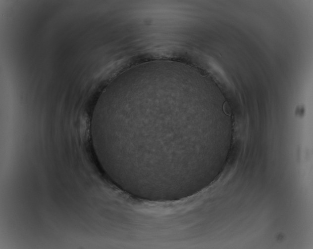 X0000102340029200808081142