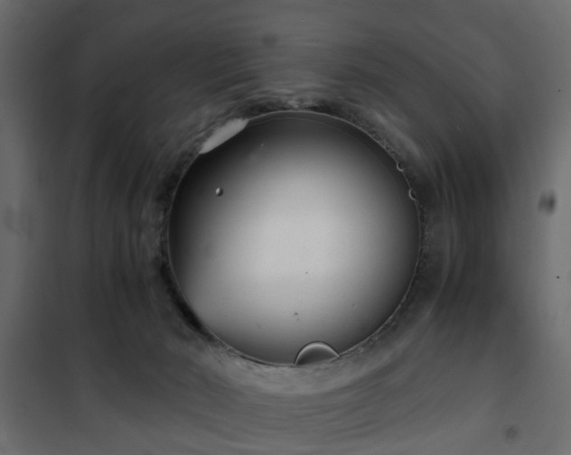 X0000102340030200808081142